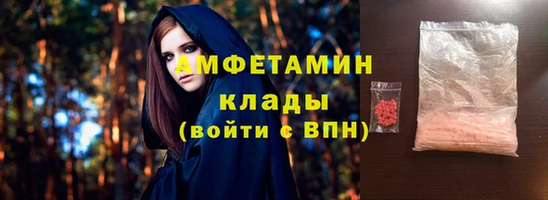 хмурый Дмитров