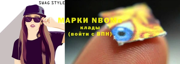 хмурый Дмитров