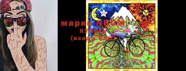 хмурый Дмитров