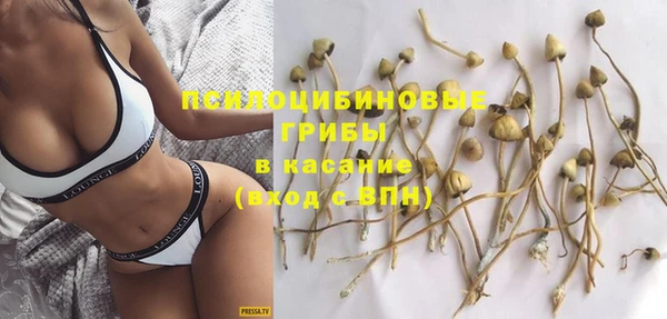дурь Алапаевск