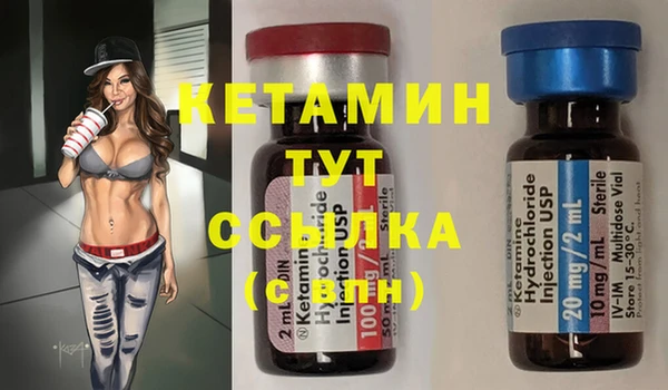хмурый Дмитров