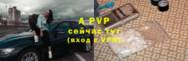 хмурый Дмитров
