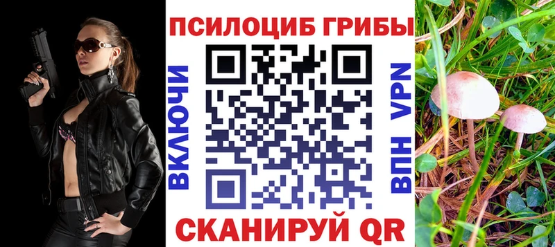 Галлюциногенные грибы Psilocybine cubensis  shop как зайти  Ершов 